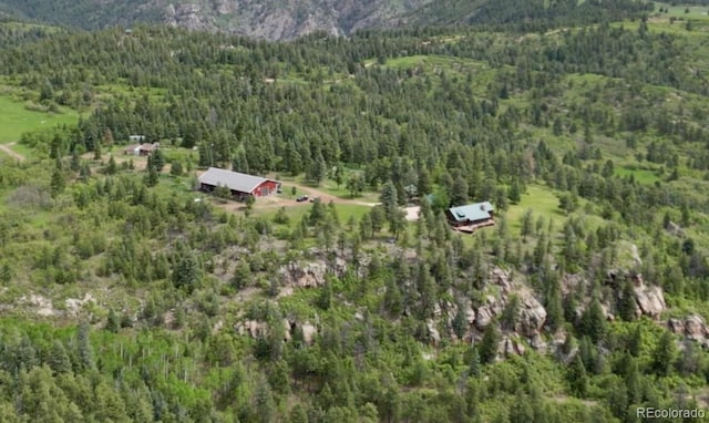 8834 Deiffendeffer Rd, Rye, CO 81069 - view of property location featuring a forest and mountains