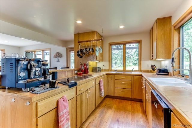 8834 Deiffendeffer Rd, Rye, CO 81069 - kitchen featuring black appliances, light wood-style flooring, a peninsula, and recessed lighting