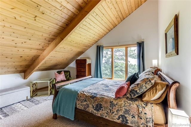 8834 Deiffendeffer Rd, Rye, CO 81069 - bedroom with lofted ceiling, wooden ceiling, and carpet flooring