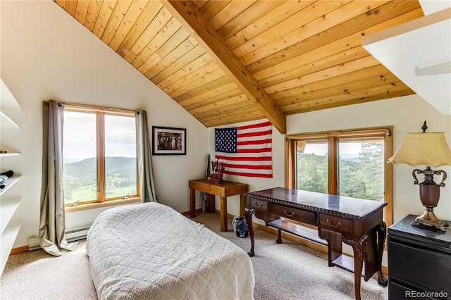 8834 Deiffendeffer Rd, Rye, CO 81069 - carpeted bedroom with a baseboard heating unit, wood ceiling, and a mountain view