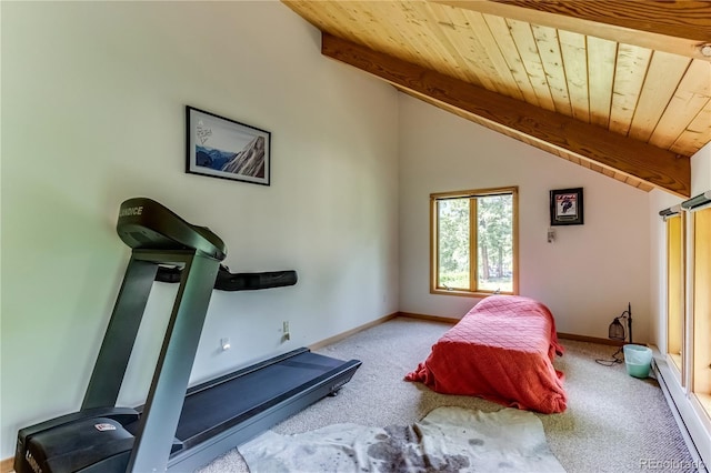 8834 Deiffendeffer Rd, Rye, CO 81069 - bedroom with carpet floors and wood ceiling