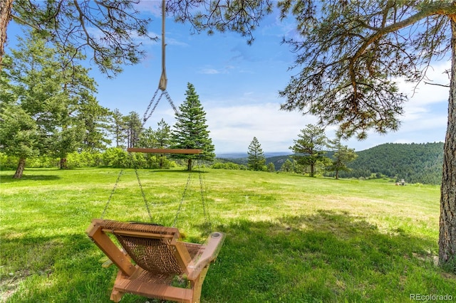 8834 Deiffendeffer Rd, Rye, CO 81069 - view of grassy yard featuring a mountain view