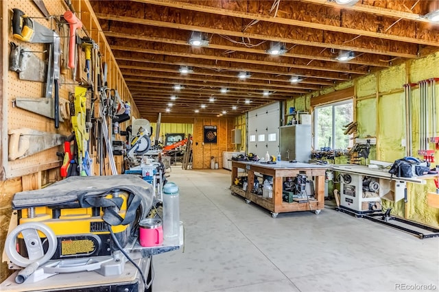 8834 Deiffendeffer Rd, Rye, CO 81069 - basement with a workshop area