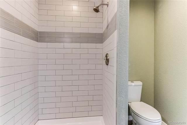 8834 Deiffendeffer Rd, Rye, CO 81069 - full bath with a stall shower and a textured wall