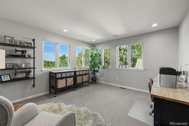 10793 Alcott Way, Denver, CO 80234 - carpeted office featuring baseboards and recessed lighting
