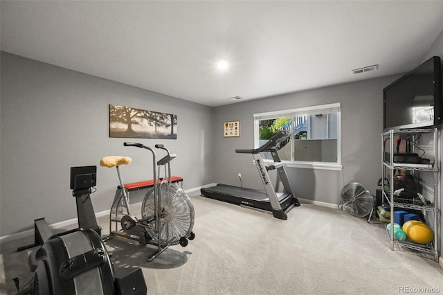 10793 Alcott Way, Denver, CO 80234 - exercise room with carpet and baseboards