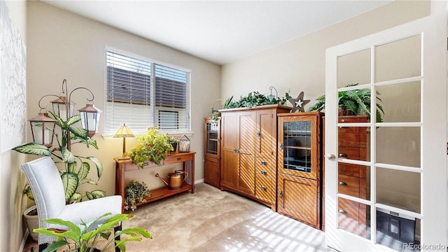 living area featuring light carpet