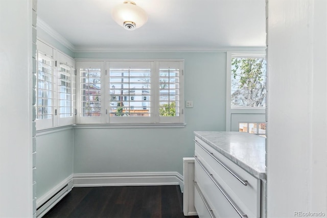 interior space with baseboard heating and dark wood-type flooring