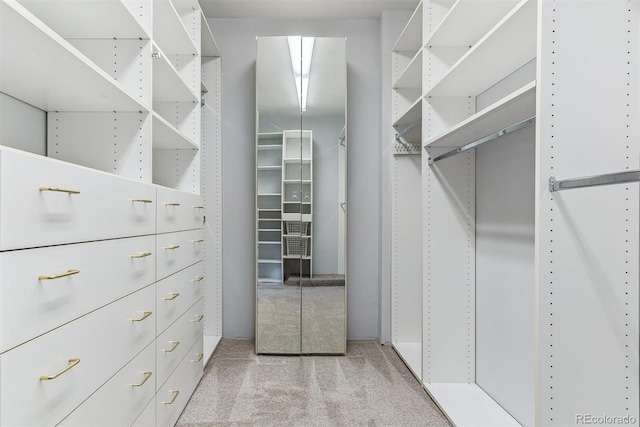 spacious closet with carpet floors