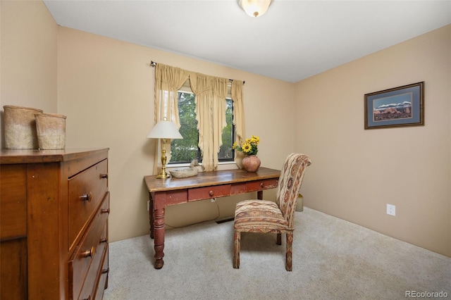 2871 Humboldt Cir, Longmont, CO 80503 - office space with carpet