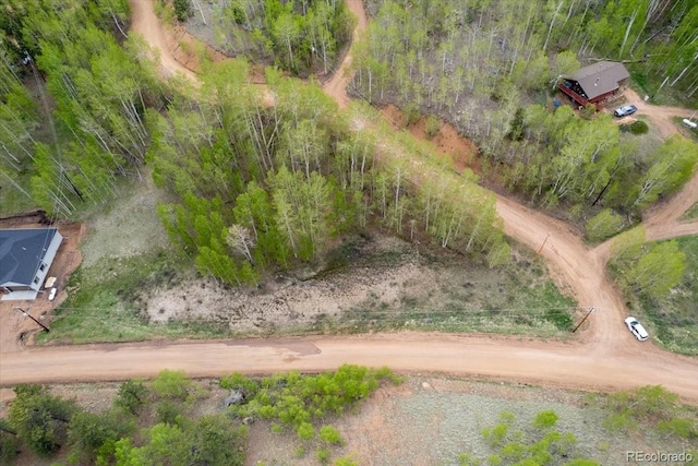 155 Granite Ln, Cripple Creek, CO 80813