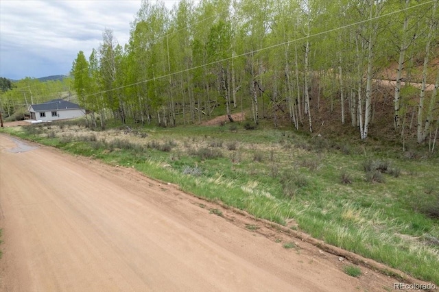 155 Granite Ln, Cripple Creek, CO 80813