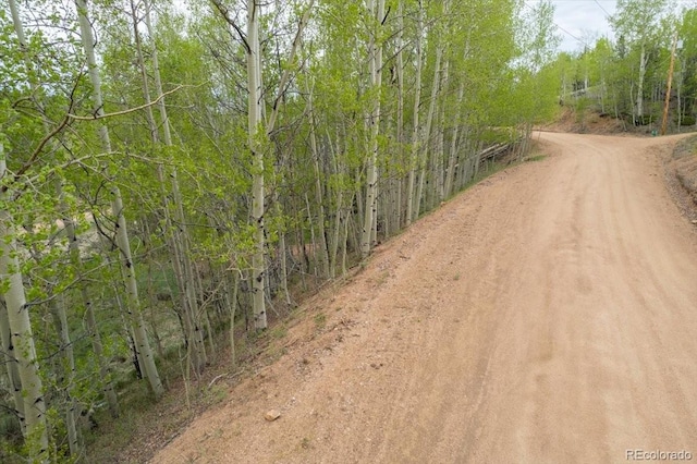 155 Granite Ln, Cripple Creek, CO 80813