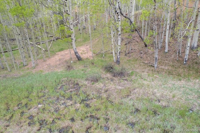 155 Granite Ln, Cripple Creek, CO 80813