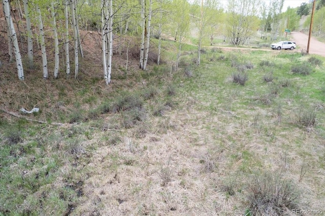 155 Granite Ln, Cripple Creek, CO 80813