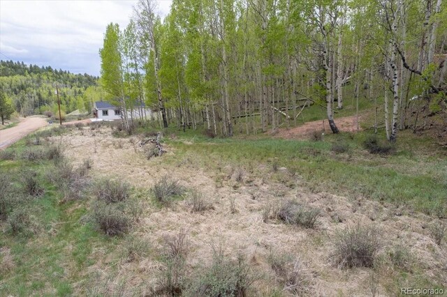 155 Granite Ln, Cripple Creek, CO 80813