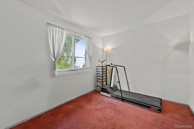 8060 Meadowdale Sq, Niwot, CO 80503 - workout area featuring carpet floors and baseboards