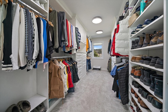 walk in closet featuring light colored carpet