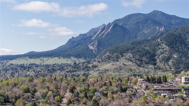 mountain view