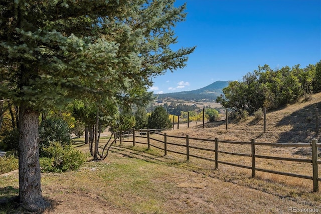 view of yard with a mountain view and a rural view