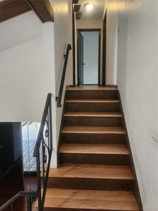 staircase with wood-type flooring