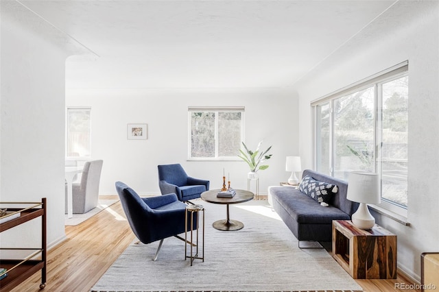 living area with baseboards and wood finished floors