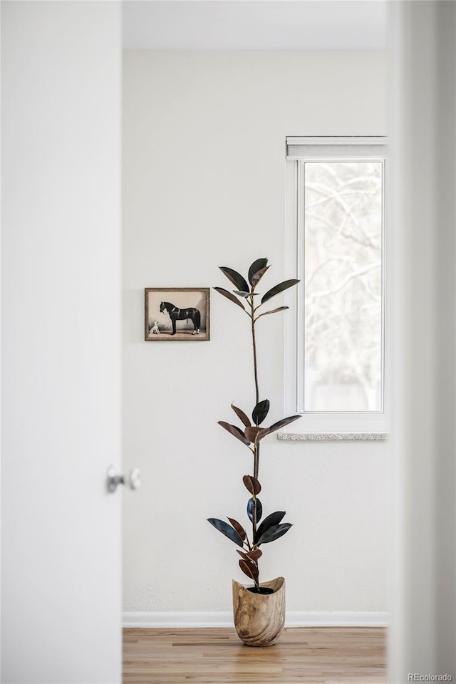 room details with baseboards and wood finished floors