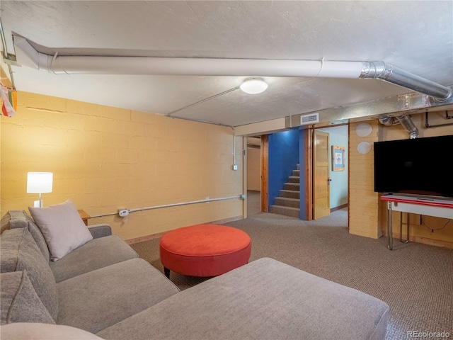 218 E Third St, Salida, CO 81201 - photo 31