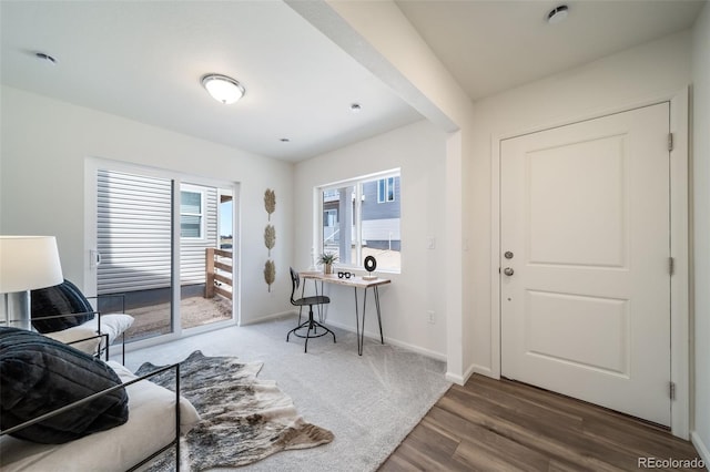 office featuring a wealth of natural light, baseboards, and wood finished floors