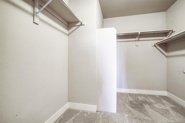 16069 E Elk Dr, Denver, CO 80239 - walk in closet featuring carpet flooring