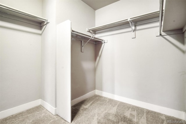 16069 E Elk Dr, Denver, CO 80239 - walk in closet with carpet flooring