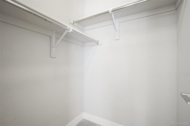 16069 E Elk Dr, Denver, CO 80239 - view of spacious closet