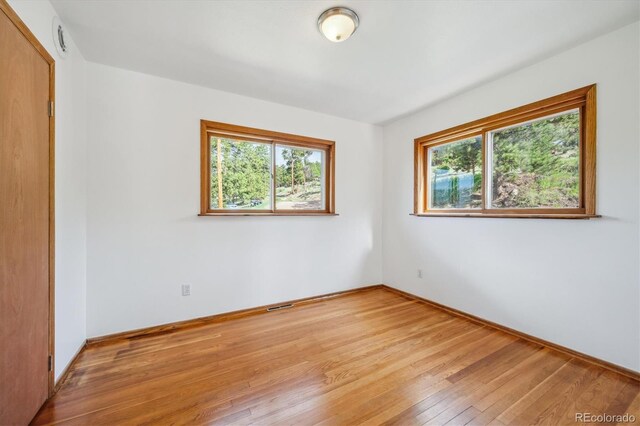429 Overlook Dr, Bailey, CO 80421 - spare room with healthy amount of natural light and light wood finished floors