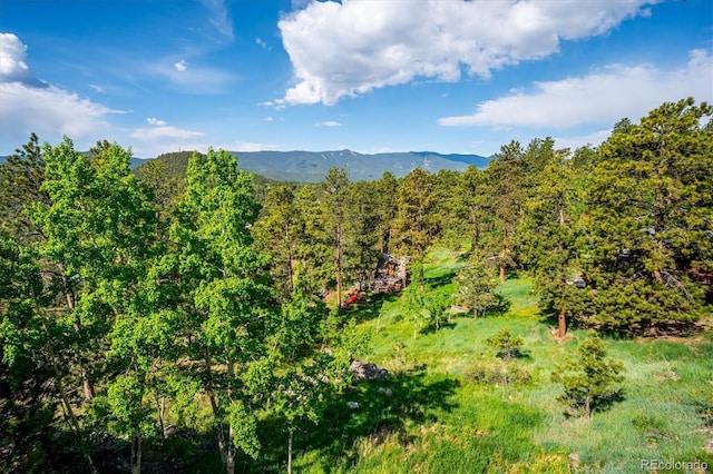 429 Overlook Dr, Bailey, CO 80421 - view of mountain backdrop with a heavily wooded area