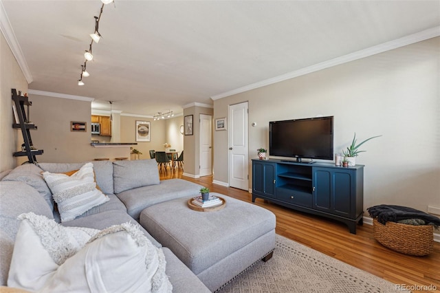 living room featuring light hardwood / wood-style floors and crown molding