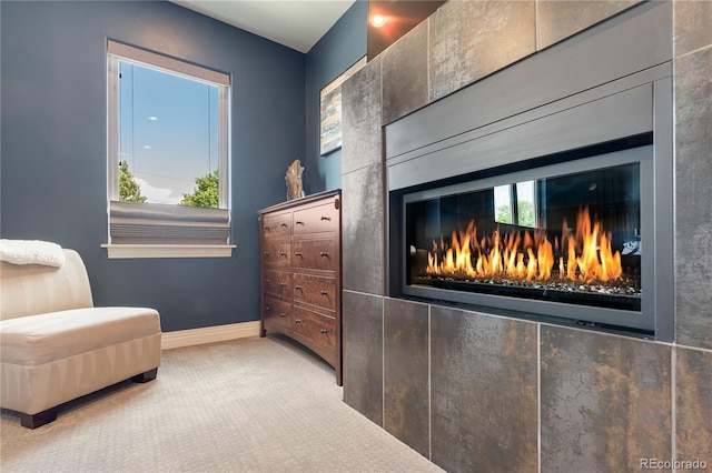 2334 Lowell Blvd, Denver, CO 80211 - living area with carpet floors and baseboards