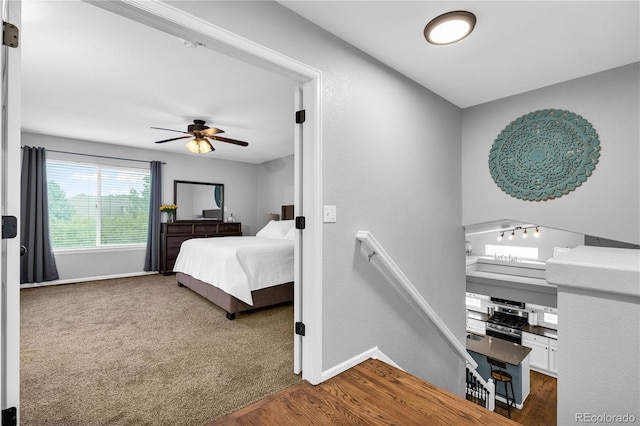 4547 Fenwood Pl, Highlands Ranch, CO 80130 - photo 26