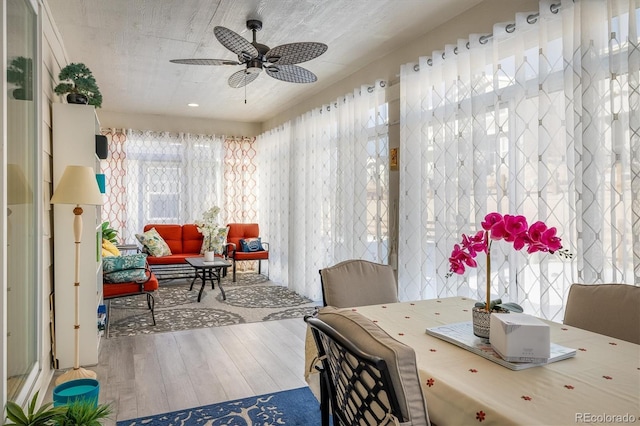 dining area with ceiling fan and wood-type flooring