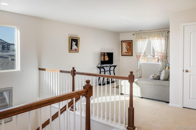 interior space with carpet floors