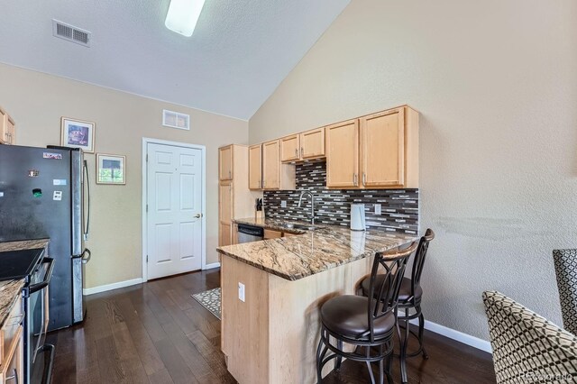 22560 E Ontario Dr Unit 204, Aurora, CO 80016 - kitchen featuring light brown cabinets, appliances with stainless steel finishes, vaulted ceiling, backsplash, and dark wood-style flooring