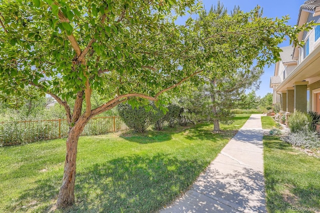 22560 E Ontario Dr Unit 204, Aurora, CO 80016 - view of yard