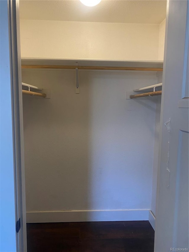 spacious closet featuring dark hardwood / wood-style flooring