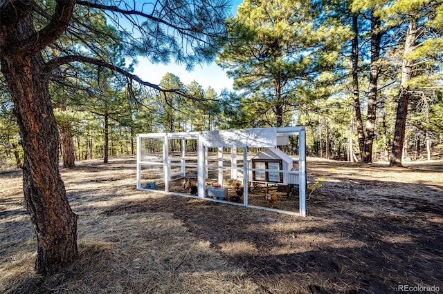 view of poultry coop