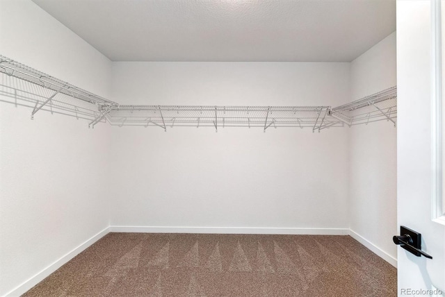 25284 E Warren Pl, Aurora, CO 80018 - walk in closet featuring carpet