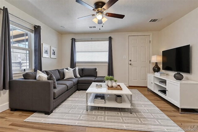 living area with visible vents, ceiling fan, and light wood-style flooring