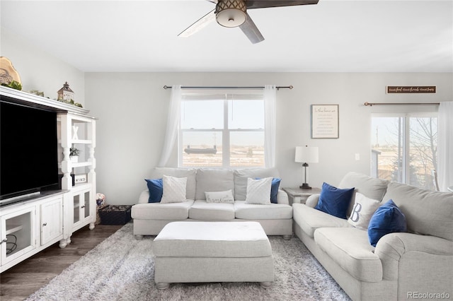 living room featuring dark wood-type flooring, plenty of natural light, and ceiling fan