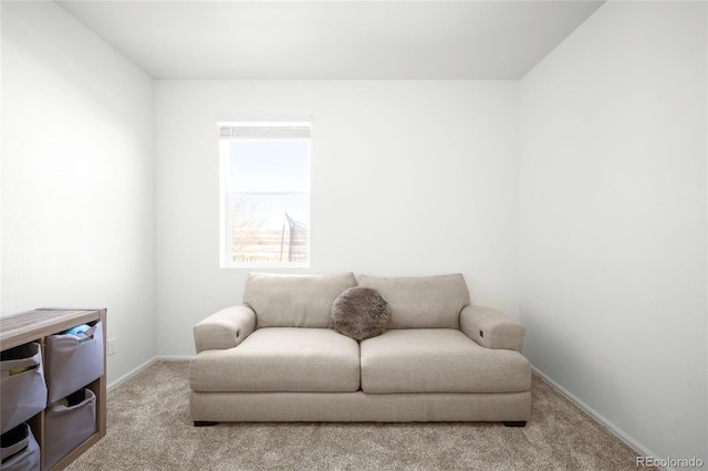 sitting room with light colored carpet