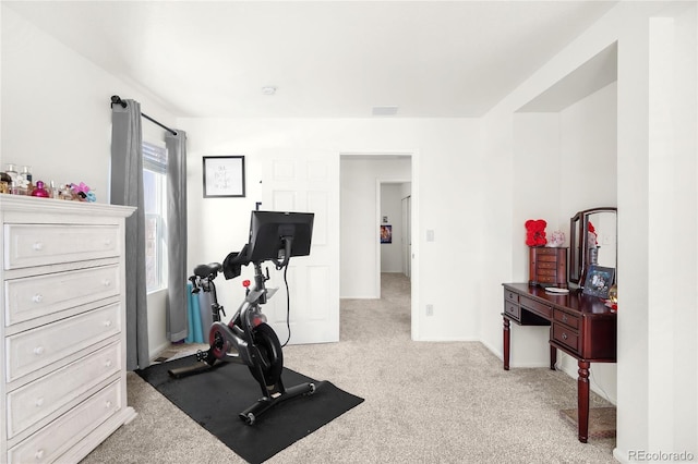 exercise area featuring light colored carpet