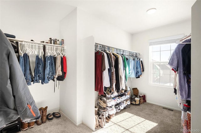 spacious closet featuring carpet