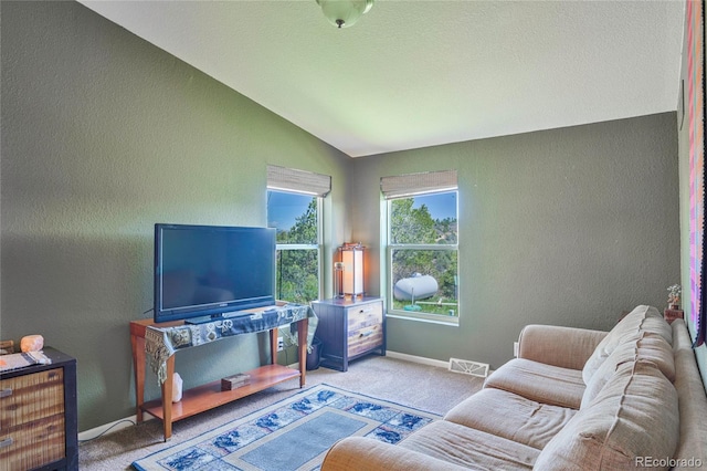 216 Rainbow Ridge Rd, Canon City, CO 81212 - carpeted living room featuring a textured wall and lofted ceiling